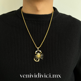 ♡Collar alacrán