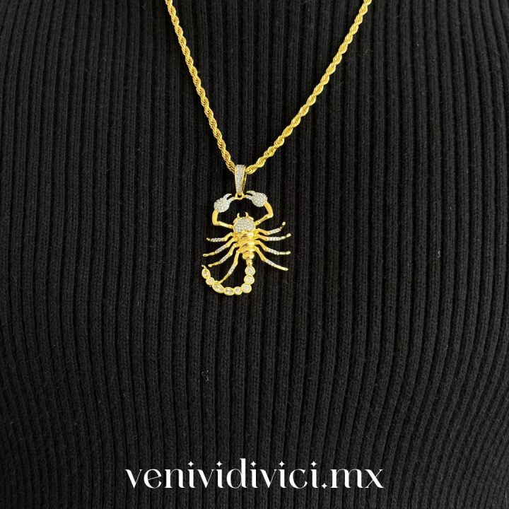 ♡Collar alacrán