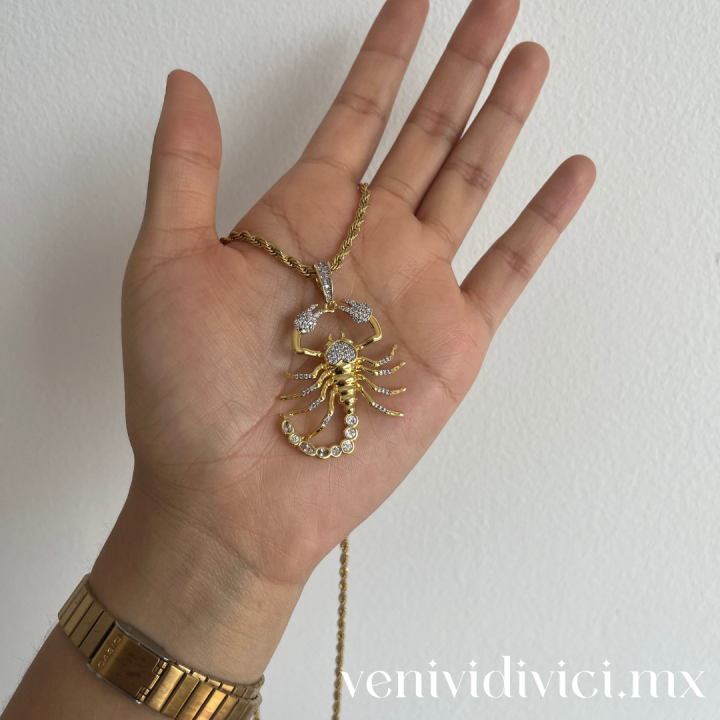 ♡Collar alacrán