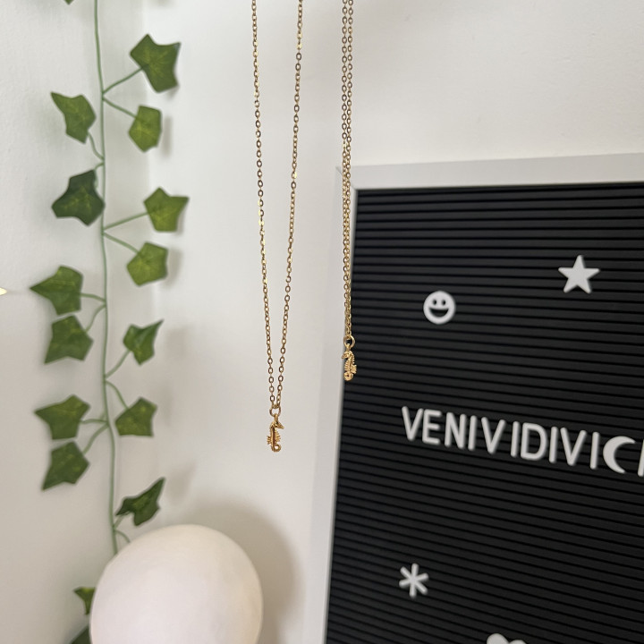 ♡collares caballito de mar