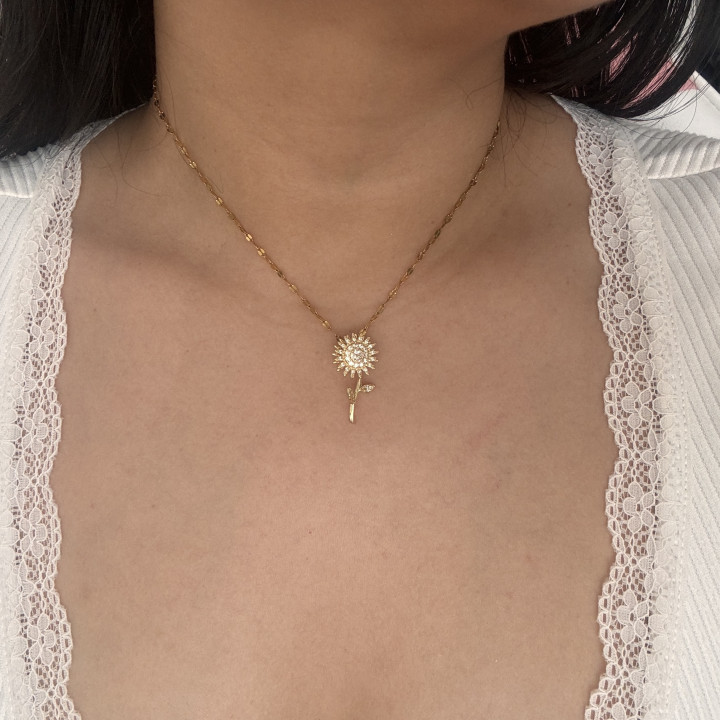 Collar Shrek girasol