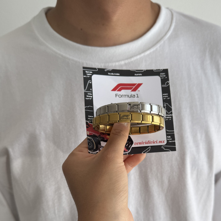 Brazalete Fórmula 1
