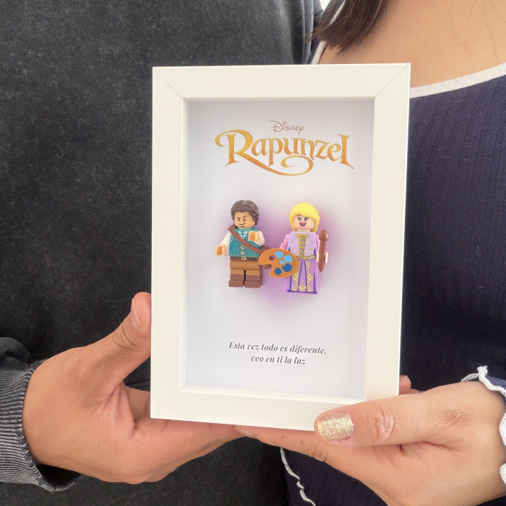 Cuadro Princesas lego