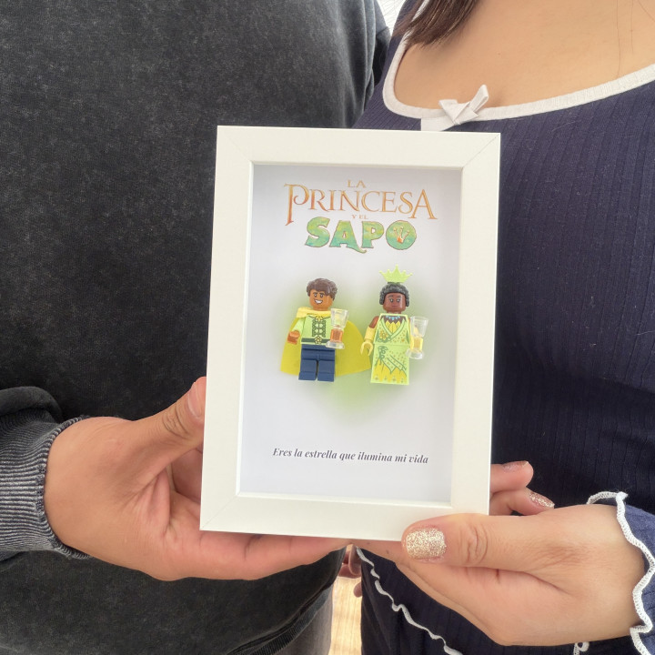 Cuadro Princesas lego