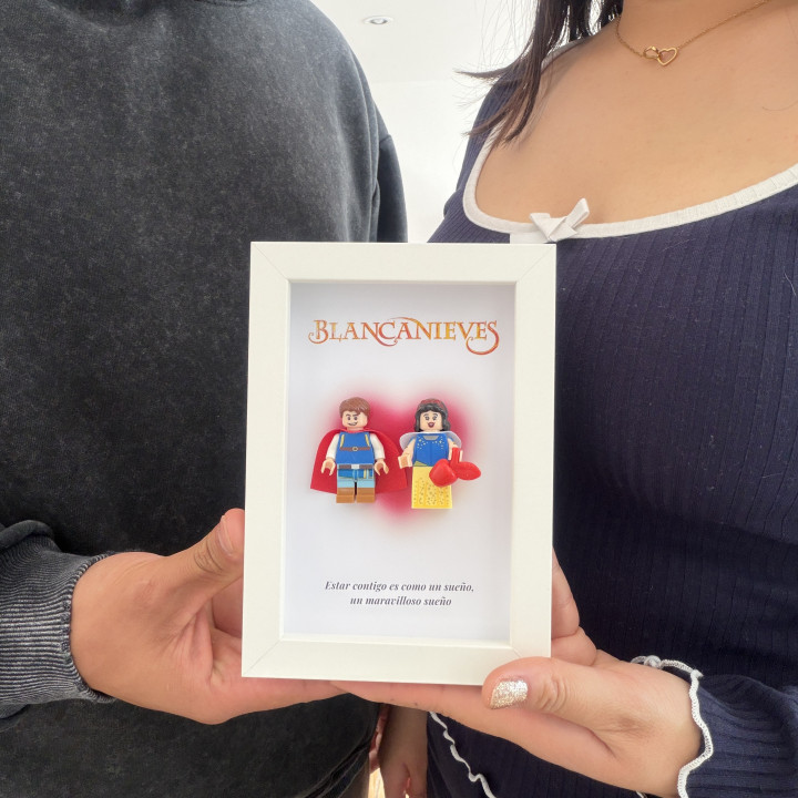 Cuadro Princesas lego