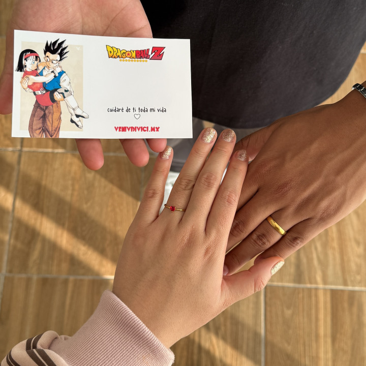 Anillos Gohan y Videl