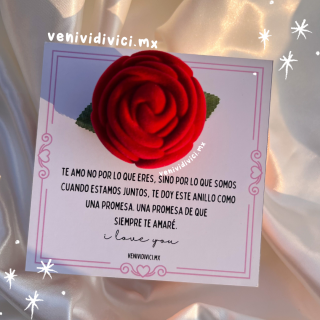 Estuche de rosa♡