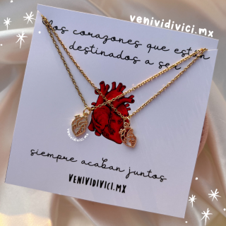 Collares corazón anatómico
