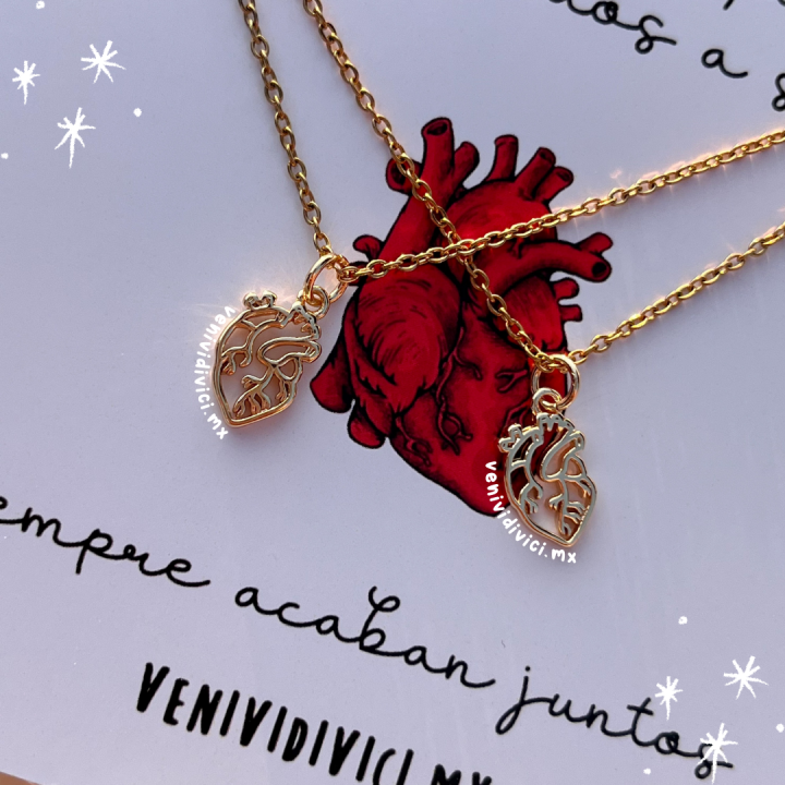 Collares corazón anatómico
